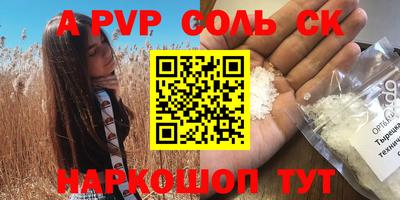 спиды Кингисепп