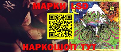 спиды Кингисепп
