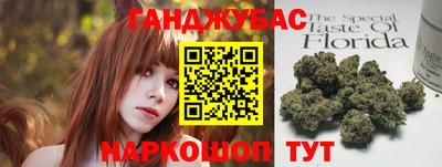 спиды Кингисепп