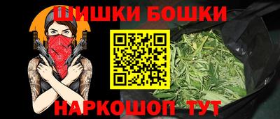 спиды Кингисепп