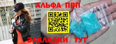 спиды Кингисепп