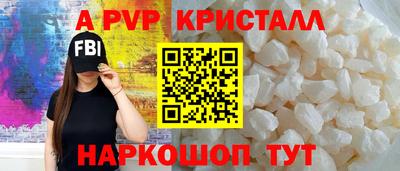 спиды Кингисепп