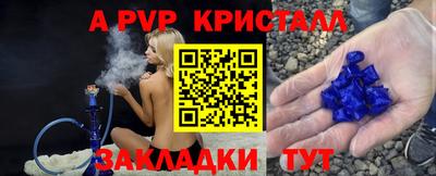 спиды Кингисепп