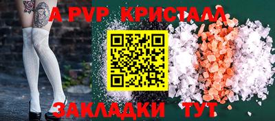 спиды Кингисепп