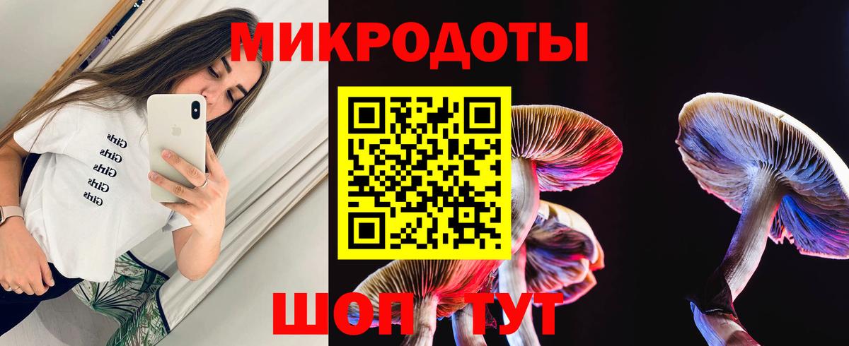 Галлюциногенные грибы прущие грибы Великие Луки