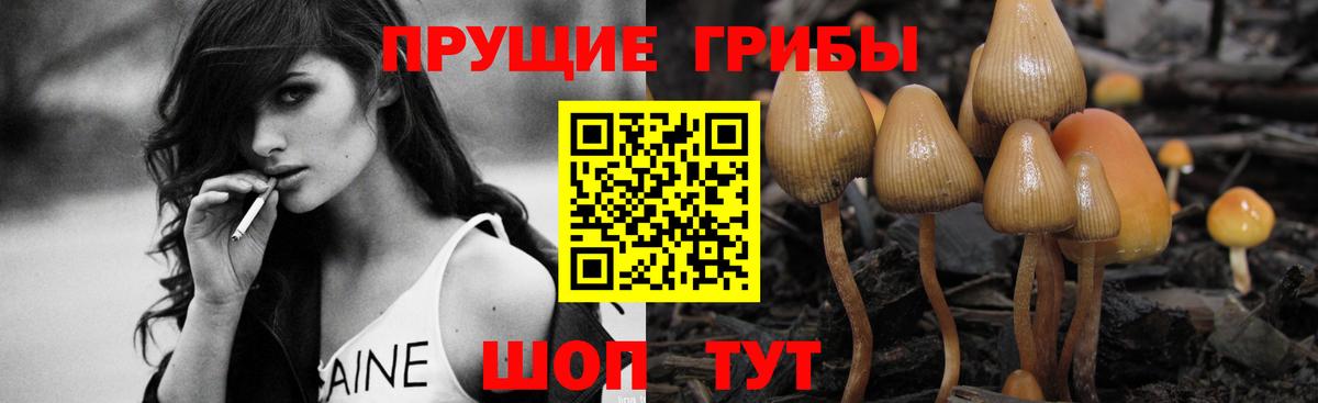 Псилоцибиновые грибы ЛСД  Вход с VPN  Великие Луки 
